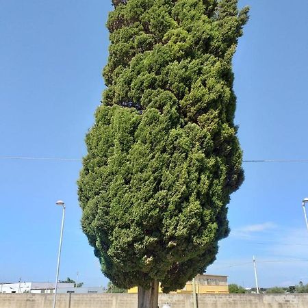L'Albero Bello Holiday Mazara del Vallo Eksteriør bilde