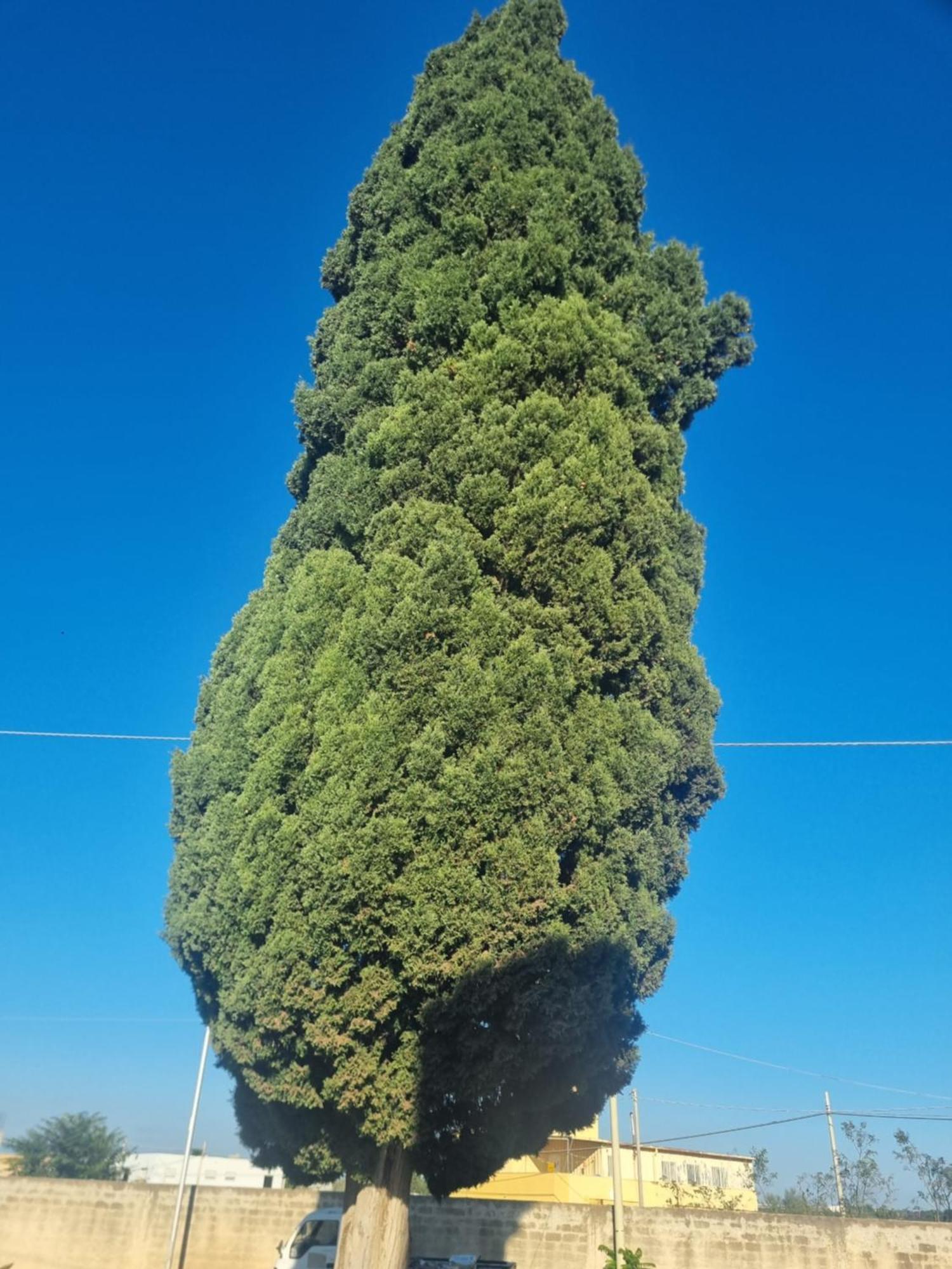 L'Albero Bello Holiday Mazara del Vallo Eksteriør bilde